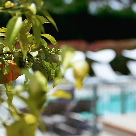 Boutique Hotel Villa Fabulite-2